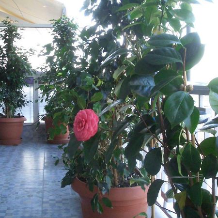 Athens Penthouse Cosy Apartment Exteriör bild