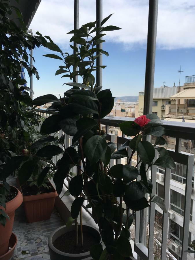Athens Penthouse Cosy Apartment Exteriör bild
